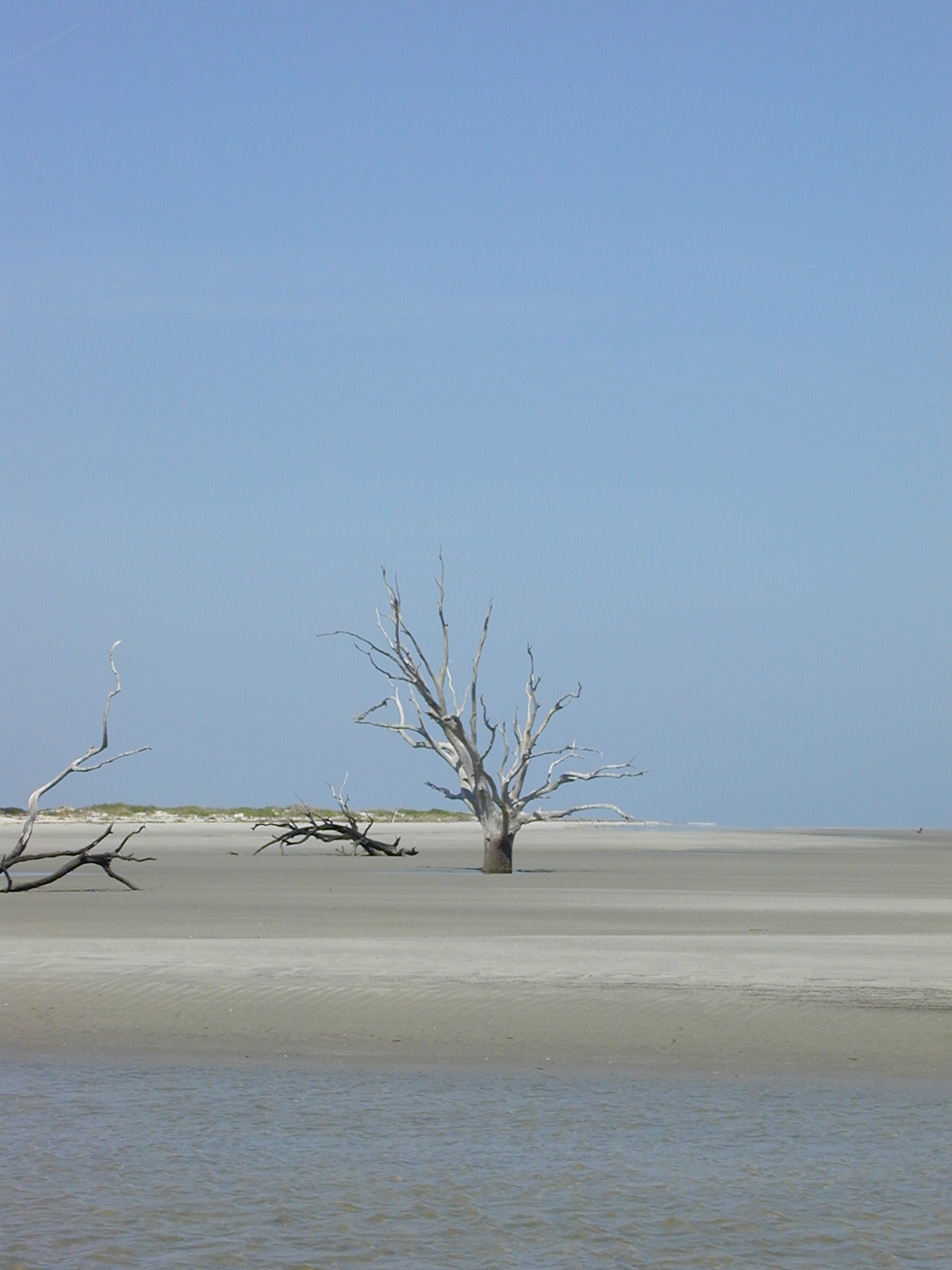 Boneyard